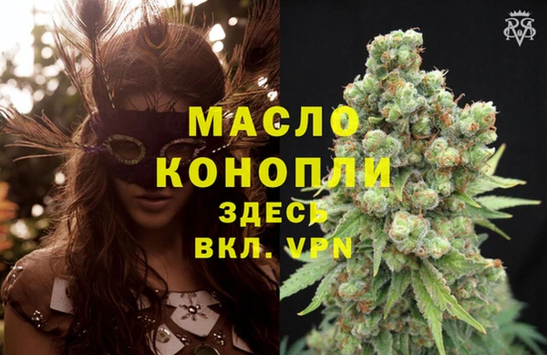 дмт Вяземский