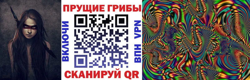Купить где  Приволжск  Галлюциногенные грибы Magic Shrooms 